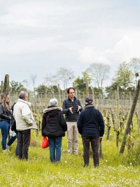 Visite guidée 2 personnes + 3 bouteilles
