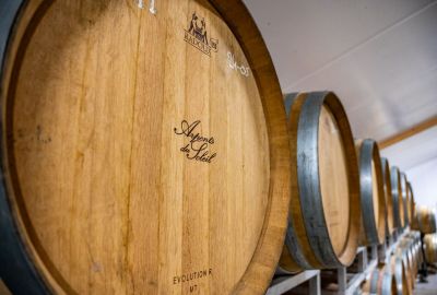 Vin de Normandie : découvrez l’IGP Calvados et son terroir